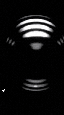 اینستاگرام طراحی و دکووراسیون داخلی گرگان